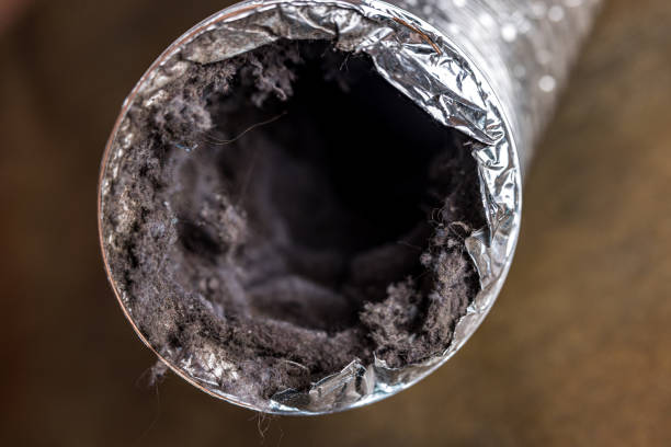 Air Duct Mold Removal in SD