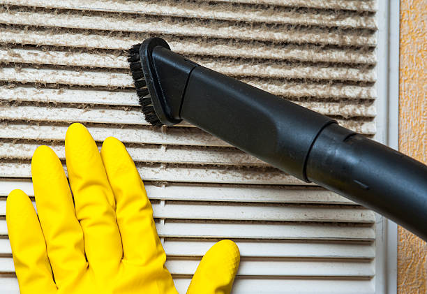 Best Air Duct Mold Removal  in Madison, SD
